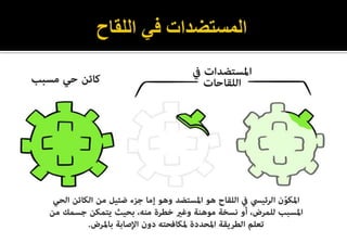 mohammad alme`ani, 2021
 