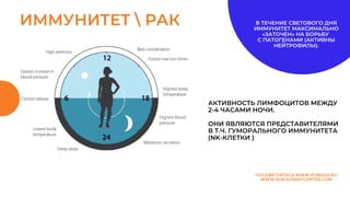 ИММУНИТЕТ  РАК
ПОСОВЕТУЙТЕСЬ WWW.POBEDI2.RU
WWW.SOKOLINSKYCENTER.COM
АКТИВНОСТЬ ЛИМФОЦИТОВ МЕЖДУ
2-4 ЧАСАМИ НОЧИ.
ОНИ ЯВЛЯЮТСЯ ПРЕДСТАВИТЕЛЯМИ
В Т.Ч. ГУМОРАЛЬНОГО ИММУНИТЕТА
(NK-КЛЕТКИ )
В ТЕЧЕНИЕ СВЕТОВОГО ДНЯ
ИММУНИТЕТ МАКСИМАЛЬНО
«ЗАТОЧЕН» НА БОРЬБУ
С ПАТОГЕНАМИ (АКТИВНЫ
НЕЙТРОФИЛЫ).
 