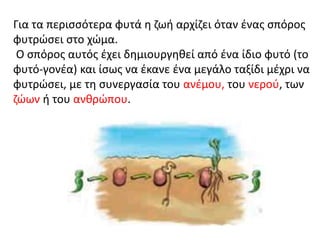 Για τα περισσότερα φυτά η ζωή αρχίζει όταν ένας σπόρος
φυτρώσει στο χώμα.
Ο σπόρος αυτός έχει δημιουργηθεί από ένα ίδιο φυτό (το
φυτό-γονέα) και ίσως να έκανε ένα μεγάλο ταξίδι μέχρι να
φυτρώσει, με τη συνεργασία του ανέμου, του νερού, των
ζώων ή του ανθρώπου.
 