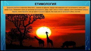 Вашата емблема или име тук
ЕТИМОЛОГИЯ
Древните римляни я наричали Africa terra – земята на африте, заради най-северната част на континента, която днес
заема Тунис. Названието може да произлиза финикийското „афар, прах“; или от племето африди, които населявали Северна
Африка, около Картаген; или да идва от гръцкото африке, без студ; или от латинското africa, слънчев.
 