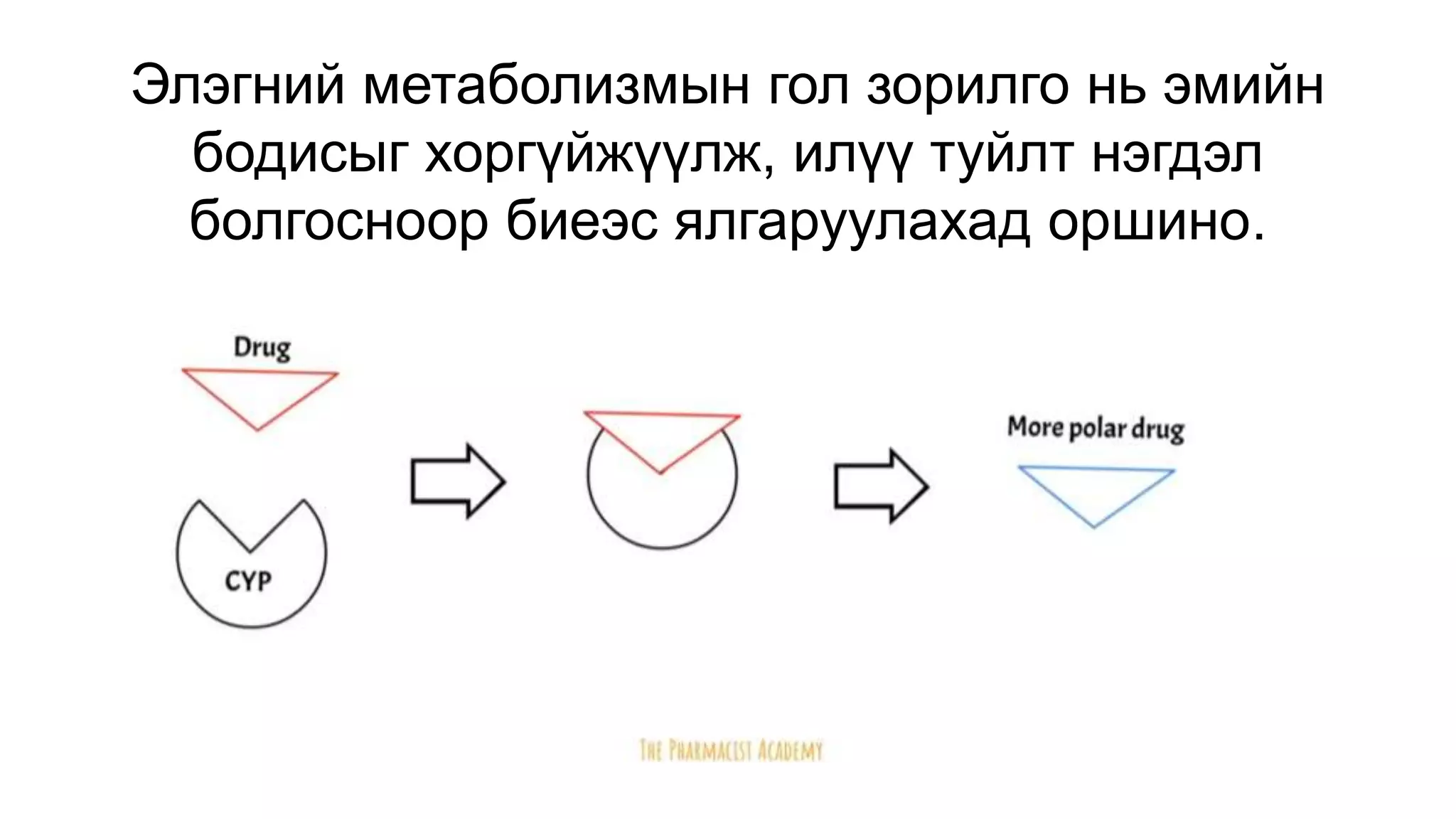Элэг дэх эмийн метаболизм | PPT