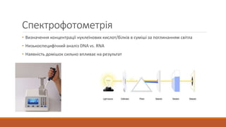 Спектрофотометрія
• Визначення концентрації нуклеїнових кислот/білків в суміші за поглинанням світла
• Низькоспецифічний аналіз DNA vs. RNA
• Наявність домішок сильно впливає на результат
 