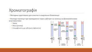Хроматографія
• Методика адаптована для очистки та виділення біомолекул
• Розподіл молекул при проходженні через субстрат на колонці за фізикохімічними
властивостями:
• Заряд
• Маса (розмір)
• Специфічність до субстрату (афінність)
 
