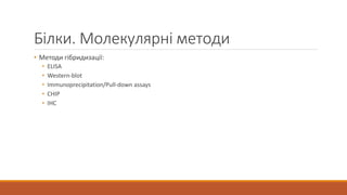 Білки. Молекулярні методи
• Методи гібридизації:
• ELISA
• Western-blot
• Immunoprecipitation/Pull-down assays
• CHIP
• IHC
 