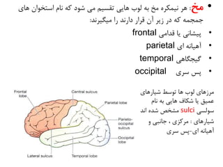 PDF pdf
