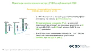 Приклади застосування методу FISH в лабораторії CSD
• В 1960 г Peter Nowell та David Hungerford описали специфічну
хромосому, яку назвали філадельфійською.
• Філадельфійська хромосома (Ph.) – це результат
реципрокної транслокації* між ділянками довгого плеча 22
(ділянка 22q11.23, ген BCR) та 9 (ділянка 9q34.12, ген
ABL1) хромосоми.
• У 90% пацієнтів з хронічним мієлолейкозом і 25% з гострим
лімфобластним лейкозом наявна транслокація
• BCR/ABL t (9; 22) (q34.1; q11.2).
*Реципрокна транслокація - обмін ділянками між двома негомологічними хромосомами
Визначення «Філадельфійської хромосоми»
(BCR/ABL, t (9; 22) (q34.1; q11.2))
 