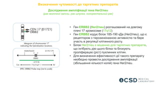 Визначення чутливості до таргетних препаратів
Дослідження ампліфікації гена Her2/neu
(рак молочної залози, рак шлунка, колоректальний рак)
• Ген ERBB2 (Her2/neu) розташований на довгому
плечі 17 хромосоми (17q12)
• Ген ERBB2 кодує білок 185-190 кДа (Her2/neu), що є
рецептором з тирозинкіназною активністю та бере
участь в регуляції клітинного росту.
• Білок Her2/neu є мішенню для таргетних препаратів,
що інгібують дію цього білка та блокують
проліферацію (ріст) пухлинних клітин.
• Для визначення ефективності дії такого препарату
необхідно провести дослідження ампліфікації
(збільшення кількості копій) гена Her2/neu.
 