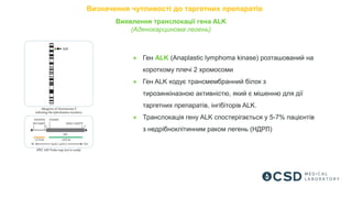 ● Ген ALK (Anaplastic lymphoma kinase) розташований на
короткому плечі 2 хромосоми
● Ген ALK кодує трансмембранний білок з
тирозинкіназною активністю, який є мішенню для дії
таргетних препаратів, інгібіторів ALK.
● Транслокація гену ALK спостерігається у 5-7% пацієнтів
з недрібноклітинним раком легень (НДРЛ)
Визначення чутливості до таргетних препаратів
Виявлення транслокації гена ALK
(Аденокарцинома легень)
 