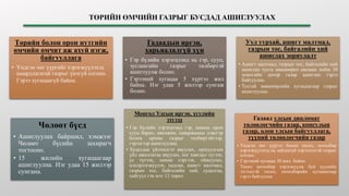 ТӨРИЙН ӨМЧИЙН ГАЗРЫГ БУСДАД АШИГЛУУЛАХ
Төрийн болон орон нутгийн
өмчийн өмчит аж ахуй нэгж,
байгууллага
• Үндсэн чиг үүргийг хэрэгжүүлэхэд
шаардлагатай газрыг үнэгүй олгоно.
Гэрээ хугацаагүй байна.
Гадаадын иргэн,
харьяалалгүй хүн
• Гэр бүлийн хэрэгцээнд нь гэр, сууц,
зуслангийн газрыг төлбөртэй
ашиглуулж болно.
• Гэрээний хугацаа 5 хүртэл жил
байна. Нэг удаа 5 жилээр сунгаж
болно.
Уул уурхай, ашигт малтмал,
газрын тос, байгалийн хий
ашиглах зориулалт
• Ашигт малтмал, газрын тос, байгалийн хий
ашиглах тусга зөвшөөрөл авснаас хойш 30
хоногийн дотор газар ашиглах гэрээ
байгуулна.
• Тусгай зөвшөөрлийн хугацаагаар газрыг
ашиглуулна.
Чөлөөт бүсд
• Ашиглуулах байршил, хэмжээг
Чөлөөт бүсийн захирагч
тогтооно.
• 15 жилийн хугацаагаар
ашиглуулна. Нэг удаа 15 жилээр
сунгана.
Монгол Улсын иргэн, хуулийн
этгээд
• Гэр бүлийн хэрэгцээнд гэр, амины орон
сууц барих, өвөлжөө, хаваржааны дэвсгэр
болон орчны газрыг төлбөртэйгээр,
гэрээгээр ашиглуулна.
• Худалдаа үйлчилгээ явуулах, оршуудгын
үйл ажиллагаа явуулах, хог хаягдал түгээх,
ус түгээх, нөхөн сэргээх, ойжуулах,
цэцэрлэгжүүлэх, хадлан, ашигт малтмал,
газрын тос, байгалийн хий, судалгаа,
хайгуул гэх мэт 12 төрөл
Гадаад улсын дипломат
төлөөлөгчийн газар, консулын
газар, олон улсын байгууллага,
түүний төлөөлөгчийн газар
• Үндсэн чиг үүргээ болон төсөл, хөтөлбөр
хэрэгжүүлэхэд нь зайлшгүй хэрэгцээтэй газрыг
олгоно.
• Гэрээний хугацаа 30 жил байна.
Төсөл хөтөлбөр хэрэгжүүлж буй хуулийн
этгээдтэй төсөл, хөтөлбөрийн хугацаагаар
гэрээ байгуулна.
 