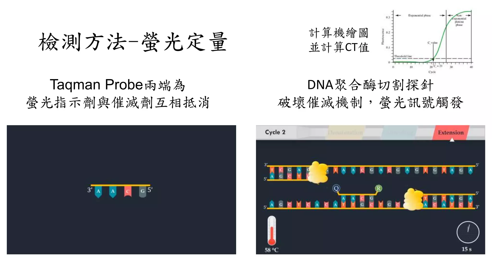 檢測方法-螢光定量
Taqman Probe兩端為
螢光指示劑與催滅劑互相抵消
DNA聚合酶切割探針
破壞催滅機制，螢光訊號觸發
計算機繪圖
並計算CT值
 