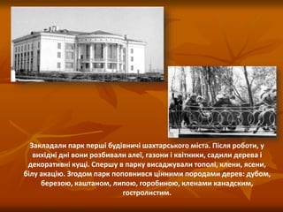 Закладали парк перші будівничі шахтарського міста. Після роботи, у
вихідні дні вони розбивали алеї, газони і квітники, садили дерева і
декоративні кущі. Спершу в парку висаджували тополі, клени, ясени,
білу акацію. Згодом парк поповнився цінними породами дерев: дубом,
березою, каштаном, липою, горобиною, кленами канадским,
гостролистим.
 