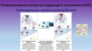 Секвенирование второго/следующего поколения (NGS)
Секвенирование путем синтеза/Illumina
15
 