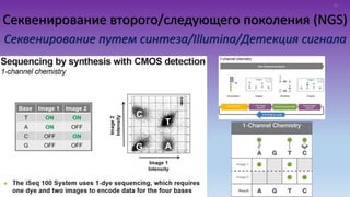 Секвенирование второго/следующего поколения (NGS)
Секвенирование путем синтеза/Illumina/Детекция сигнала
19
 