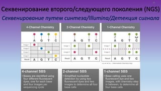 Секвенирование второго/следующего поколения (NGS)
Секвенирование путем синтеза/Illumina/Детекция сигнала
20
 