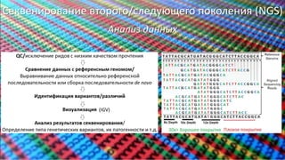 Секвенирование второго/следующего поколения (NGS)
Анализ данных
(IGV)
21
 
