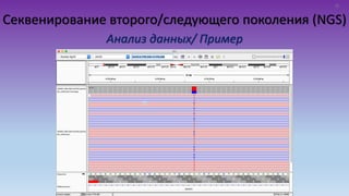 Секвенирование второго/следующего поколения (NGS)
Анализ данных/ Пример
25
 