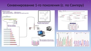 Секвенирование 1-го поколения (с. по Сангеру)
3
 