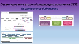 Секвенирование второго/следующего поколения (NGS)
Приготовление библиотеки
9
 
