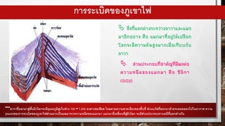 การระเบิดของภูเขาไฟ
 สิ่งที่แตกต่างระหว่างลาวาและแมก
มาอีกอย่าง คือ แมกมาที่อยู่ใต้เปลือก
โลกจะมีความดันสูงมากเมื่อเทียบกับ
ลาวา
 ส่วนประกอบที่สาคัญที่มีผลต่อ
ความหนืดของแมกมา คือ ซิลิกา
(SiO2)
****ลาวาที่ออกมาสู่พื้นผิวโลกจะมีอุณหภูมิสูงในช่วง 700 – 1,250 องศาเซลเซียส ไหลตามความลาดเอียงของพื้นที่ ส่วนแก๊สที่ออกมาด้วยจะลอยออกไปในอากาศ ความ
รุนแรงของการระเบิดของภูเขาไฟส่วนมากเป็นผลมาจากความหนืดของแมกมา แมกมาที่เคลื่อนที่สู่ผิวโลก จะมีส่วนประกอบทางเคมีที่แตกต่างกัน
 