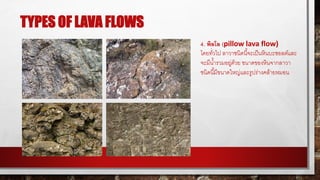 TYPES OF LAVA FLOWS
4. พิลโล (pillow lava flow)
โดยทั่วไป ลาวาชนิดนี้จะเป็นหินบะซอลต์และ
จะมีน้ารวมอยู่ด้วย ขนาดของหินจากลาวา
ชนิดนี้มีขนาดใหญ่และรูปร่างคล้ายหมอน
 