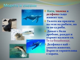  Кита, тюлена и
делфина също
живеят там.
 Тялото им прилича
на тези на рибите, но
те не са риби.
 Дишат с бели
дробове, раждат и
кърмят малките си.
Те са бозайници.
 Делфина е най –
умното животно.
Бързо се сприятелява
с хората.
 