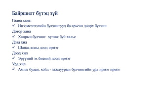 Байршилт бүтэц зүй
Гадна хана
✓ Инээмсэглэлийн булчингууд ба арьсан доорх булчин
Дотор хана
✓ Хацрын булчинг хучиж буй хальс
Дээд хил
✓ Шанаа ясны доод ирмэг
Доод хил
✓ Эрүүний эх биений доод ирмэг
Урд хил
✓ Амны булан, хойд - зажлуурын булчингийн урд ирмэг ирмэг
 