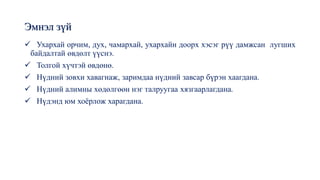 Эмнэл зүй
✓ Ухархай орчим, дух, чамархай, ухархайн доорх хэсэг рүү дамжсан лугших
байдалтай өвдөлт үүснэ.
✓ Толгой хүчтэй өвдөнө.
✓ Нүдний зовхи хавагнаж, заримдаа нүдний завсар бүрэн хаагдана.
✓ Нүдний алимны хөдөлгөөн нэг талруугаа хязгаарлагдана.
✓ Нүдэнд юм хоёрлож харагдана.
 