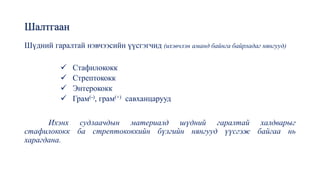Шалтгаан
Шүдний гаралтай нэвчээсийн үүсгэгчид (ихэвчлэн аманд байнга байрладаг нянгууд)
✓ Стафилококк
✓ Стрептококк
✓ Энтерококк
✓ Грам(-), грам(+) савханцарууд
Ихэнх судлаачдын материалд шүдний гаралтай халдварыг
стафилококк ба стрептококкийн бүлгийн нянгууд үүсгэж байгаа нь
харагдана.
 