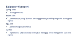 Байршилт бүтэц зүй
Дотор хана
✓ Залгиурын хана
Гадна хана
✓ Далавч төст дотор булчин, чихалзуурын шүлсний булчирхайн залгиурын
сэртэн
Урд хил
✓ Далавч хоорондын хальс
Ар хил
✓ Нугаламны урд хананаас залгиурын хана руу явсан хажуугийн хальсны
сэртэн
 