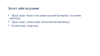 Эслэгт зайн агууламж
✓ Эрүүн доорх болон хэлэн доорх шүлсний булчирхай, тэдгээрийн
цоргонууд
✓ Эрүүн доорх , оочин доорх тунгалгийн булчирхайнууд
✓ Хэлний судас, мэдрэлүүд
 