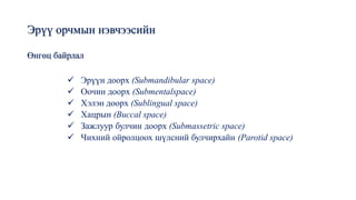 Эрүү орчмын нэвчээсийн
Өнгөц байрлал
✓ Эрүүн доорх (Submandibular space)
✓ Оочин доорх (Submentalspace)
✓ Хэлэн доорх (Sublingual space)
✓ Хацрын (Buccal space)
✓ Зажлуур булчин доорх (Submassetric space)
✓ Чихний ойролцоох шүлсний булчирхайн (Parotid space)
 