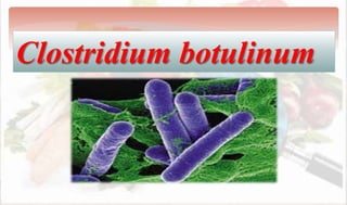 Clostridium botulinum
 