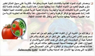 
‫ةاا‬‫ة‬‫المث‬ ‫ةبيل‬‫ة‬‫س‬ ‫ةى‬‫ة‬‫عل‬ ‫ة‬‫ة‬‫فالترب‬ ، ‫ة‬‫ة‬‫ومتتوع‬ ‫ةدة‬‫ة‬‫عدي‬ ‫ة‬‫ة‬‫ي‬ ‫ال‬ ‫ةال‬‫ة‬‫بالئائت‬ ‫ة‬‫ة‬‫الغذائي‬ ‫ةواد‬‫ة‬‫الم‬ ‫ةوث‬‫ة‬‫تل‬ ‫ةادر‬‫ة‬‫ومص‬
‫ةر‬‫ة‬‫تعتب‬
‫خ‬ ‫التباتةال‬ ‫بعةض‬ ‫لتلةوث‬ ً‫ا‬‫هامة‬ ً‫ا‬‫مصةدر‬ ‫يجعلهةا‬ ‫ممةا‬ ، ‫يقة‬ ‫الد‬ ‫األحياء‬ ‫من‬ ‫للعديد‬ ً‫ا‬‫طبيعي‬ ‫مأو‬
‫تلةك‬ ‫اوة‬
‫والجذرية‬ ‫الدرني‬ ‫كالتباتال‬ ‫الترب‬ ‫تممس‬ ‫التي‬
.
‫كمةأو‬ ‫التربة‬ ‫أهمية‬ ‫وتةزداد‬
‫ل‬
‫لئائتةال‬
‫ية‬ ‫ال‬
‫يقة‬ ‫الد‬
‫الت‬ ‫تويةه‬ ‫ت‬ ‫لمةا‬ ‫باإلضةاف‬ ‫هةذا‬ ،‫المتاسةبتين‬ ‫ةرارة‬ ‫وال‬ ‫الرطوب‬ ‫توافر‬ ‫م‬ ‫خصوبتها‬ ‫زادل‬ ‫كلما‬
‫مةن‬ ‫ربة‬
‫يق‬ ‫الد‬ ‫الئائتال‬ ‫تلك‬ ‫وتئاثر‬ ‫لتمو‬ ‫متاسب‬ ‫يجعلها‬ ‫ومعدني‬ ‫عضوي‬ ‫مواد‬
.

‫وهتا‬
‫أهم‬ ‫من‬ ‫بالجراثيم‬ ‫الغذائي‬ ‫التلوث‬ ‫أن‬ ‫الى‬ ‫التتويه‬ ‫من‬ ‫البد‬
‫أسباب‬
‫يظهر‬ ‫والذي‬ ‫ي‬ ‫ال‬ ‫الئائن‬ ‫جسم‬ ‫تسمم‬
‫باألمراض‬ ‫تعرف‬ ‫أمراض‬ ‫شئل‬ ‫على‬
‫الئائن‬ ‫جسم‬ ‫إلى‬ ‫تدخل‬ ‫التي‬ ‫الميئروبال‬ ‫أن‬ ‫حيث‬ ‫المعدي‬
‫ي‬ ‫ال‬
(
‫أو‬ ‫اإلنسان‬
‫يوان‬ ‫ال‬
)
‫وتظهر‬ ‫الجسم‬ ‫أنسج‬ ‫مهاجم‬ ‫على‬ ‫تعمل‬ ،
‫حاالل‬
‫المرض‬
‫الذي‬
‫التي‬ ‫البئتيريا‬ ‫او‬ ‫الميئروبال‬ ‫بتوع‬ ‫يصتف‬ ‫ما‬ ‫عادة‬
‫تغزو‬
‫مثل‬ ‫الجسم‬
‫حمى‬
‫ب‬ ‫أوابته‬ ‫عتد‬ ‫االنسان‬ ‫بها‬ ‫يصاب‬ ‫التي‬ ‫التياوئيد‬
‫بئتريا‬
‫التياوئيد‬
.Salmonella typhi
 