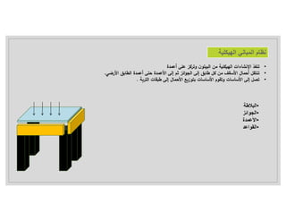 •
‫م‬ ‫ة‬ ‫ل‬ ‫اله‬ ‫اءات‬ ‫اﻹن‬ ‫ف‬ ‫ت‬
‫ن‬ ‫ال‬
‫ة‬ ‫أع‬ ‫على‬ ‫وت‬
•
‫ل‬ ‫م‬ ‫ف‬ ‫اﻷس‬ ‫ال‬ ‫أح‬ ‫قل‬ ‫ت‬
‫اب‬
‫إلى‬
‫ائ‬ ‫ال‬
‫ة‬ ‫اﻷع‬ ‫إلى‬ ‫ث‬
‫ح‬
‫ى‬
‫ال‬ ‫ة‬ ‫أع‬
‫اب‬
‫اﻷرضي‬
.
•
‫اﻷساس‬ ‫إلى‬ ‫ل‬ ‫ت‬
‫ات‬
‫و‬
‫ت‬
‫اﻷ‬ ‫م‬ ‫ق‬
‫ساسات‬
‫ة‬ ‫ال‬ ‫قات‬ ‫إلى‬ ‫ال‬ ‫اﻷح‬ ‫ع‬ ‫ز‬ ‫ب‬
.
•
‫البﻼطة‬
•
‫الجوائز‬
•
‫اﻷ‬
‫عمد‬
‫ة‬
•
‫القواعد‬
 