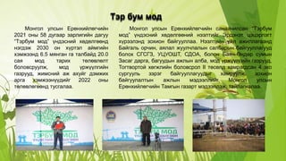 танилцуулга ажил | PPT