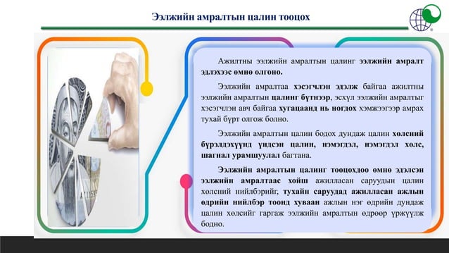 ЭЭЛЖИЙН АМРАЛТ ОЛГОХ, ЭЭЛЖИЙН АМРАЛТЫН ЦАЛИН ТООЦОХ ЖУРМЫН ТАНИЛЦУУЛГА