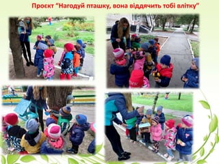 Проєкт “Нагодуй пташку, вона віддячить тобі влітку”
 