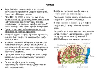 Krvtijebem1 | PPT