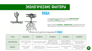 Экологические факторы
Вода
А еще корневые системы могут быть либо поверхностными,
либо очень глубокими, такое практикуется как у растений
пустынь, так и у растений тундры


Один из смыслов листопада - экономия воды. В холодное время года
почва промерзает, вода не всасывается, но испаряется через листья
Группы растений по отношению к воде
Группа Гидатофиты Гидрофиты Гигрофиты Мезофиты Ксерофиты
Характеристики
Полностью или почти
полностью погружены в
воду
Частично погружены в воду
(корни находятся в воде)
Нуждаются в очень
влажной почве. Часто
образуют нижний ярус
(растут под деревьями) в
густом лесу
Живут в нормально
увлажненной местности.
Могут переносить
непродолжительную засуху
Растения засушливых зон.
Могут переносить
длительную засуху
Примеры Ряска, элодея,
кувшинка
Стрелолист, рогоз,
болотные растения
Папоротник, росянка
Степные и луговые
травы
Склерофиты: ковыль,
саксаул. Суккуленты:
кактусы, алоэ 10
Свертков Данила Алексеевич
 