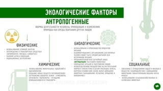 Экологические факторы
Антропогенные
формы деятельности человека, приводящие к изменению
природы как среды обитания других видов
Физические
- использование атомной энергии


- перемещение в транспортных средствах
(автомобилях, поездах, самолётах)


- влияние шума и вибрации


- Радиационные загрязнения
Химические
-
 
использование минеральных удобрений и
ядохимикатов


- создание новых веществ (ксенобиотиков)


- загрязнение оболочек Земли — атмосферы,
литосферы, гидросферы — отходами
промышленности и транспорта
Биологические
- использование и производство продуктов
питания


- взаимоотношения с организмами, для которых
человек может быть средой обитания или
источником питания


- преднамеренный или случайный завоз
(интродукция) растений и животных


- сокращение ареалов и уничтожение видов


- непосредственное воздействие на растительный
покров и экосистемы в целом (распашка земель,
вырубка и выжигание лесов, выпас домашних
животных, выкашивание, осушение, орошение и
обводнение)
Социальные
- связанные с отношениями людей и жизнью в
обществе: взаимодействие с домашними
животными, синантропными видами (мухи,
крысы)


- использование сельскохозяйственных и
служебных животных
16
Свертков Данила Алексеевич
 
