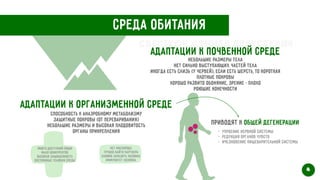 Среда обитания
Адаптации к почвенной среде
Небольшие размеры тела


Нет сильно выступающих частей тела


Иногда есть слизь (у червей), если есть шерсть, то короткая


Плотные покровы


Хорошо развито обоняние, зрение - плохо


Роющие конечности
Адаптации к организменной среде
Способность к анаэробному метаболизму


Защитные покровы (от переваривания)


Небольшие размеры и высокая плодовитость


Органы прикрепления
Много доступной пищи


Мало конкурентов


Высокая защищенность


Постоянные условия среды
Нет кислорода


Трудно найти партнера


Сложно заразить хозяина


Иммунитет хозяина
4
Приводят к общей дегенерации
- упроение нервной системы


- Редукция органов чувств


- Ичезновение пищеварительной системы
Свертков Данила Алексеевич
 