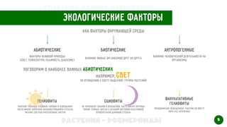 Экологические факторы
Aka факторы окружающей среды
Абиотические Биотические Антропогенные
Факторы неживой природы


(Свет, температура, влажность, давление)
Влияние живых организмов друг на друга
Влияние человеческой деятельности на
организмы
Поговорим о наиболее важных абиотических
Например, свет
По отношению к свету выделяют группы растений
Гелиофиты Сциофиты
Факультативные
гелиофиты
Обитают только в условиях хорошего освещения,


Часто имеют короткий сильноветвящийся стебель,


Мелкие светлые рассеченные листья
Не переносят сильного освещения, часто имеют крупные
тонкие темные листья с цельной листовой пластинкой,


Относительно длинный стебель
Предпочитают освещенные участки, но могут
жить и в затененых
5
Растения - эфемероиды
Свертков Данила Алексеевич
 