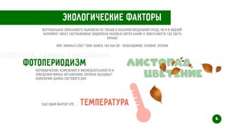 Экологические факторы
Вертикальная зональность выражена не только в наземно-воздушной среде, но и в водной.
 
Например: более светолюбивые водоросли располагаются ближе к поверхности, где света
больше
Фор энималз свет тоже важен, так как он - необходимое условие зрения
Фотопериодизм
Периодические изменения в жизнедеятельности и
поведении живых организмов, которые вызывает
изменение длины светового дня
Листопад
Цветение
Еще один фактор это… Температура
6
Свертков Данила Алексеевич
 