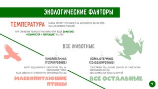Экологические факторы
Температура Важна, потому что влияет на активность ферментов
(катализаторов реакций)
При снижении температуры ниже нуля вода замерзает,
расширяется и повреждает клетки
Все животные
Гомойотермные
 
(теплокровные)
пойкилотермные
 
(холоднокровные)
Могут поддерживать температуру тела на
постоянном уровне


Мало зависят от температуры окружающей среды
Температура тела сильно зависит от температуры
окружающей среды
 
одна снижается вслед за другой
Млекопитающие


птицы
Все остальные
7
Свертков Данила Алексеевич
 
