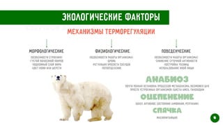 Экологические факторы
Механизмы терморегуляции
Морфологические Физиологические Поведенческие
(Особенности строения)


-густой волосяной покров


-подкожный слой жира


-цвет кожи или шерсти


(Особенности работы организма)


-дрожь


-регуляция просвета сосудов


-потоотделение


(Особенности работы организма)


-снижение суточной активности


-постройка убежищ


-использование иной пищи


Анабиоз
Почти полная остановка процессов метаболизма, возможен для
просто устроенных организмов (цисты амеб, тихоходки


Оцепенение
Более активное состоянии (амфибии, рептилии)


Спячка
Млекопитающие


8
Свертков Данила Алексеевич
 