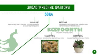 Экологические факторы
Вода
Животные Растения
При недостатке влаги изменяют суточную активность


Запасают воду в виде жира


Способны переносить недостаток влаги благодаря
морфологически приспособлениям


Ксерофиты
(Растения засушливых зон)
Склерофиты Суккуленты
Имеют мелкие желтые листья, содержат мало влаги Запасают воду в листьях или стеблях
9
Свертков Данила Алексеевич
 