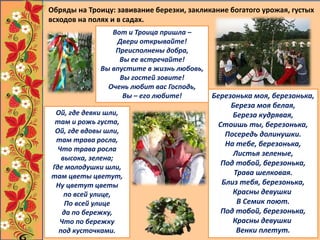 Ой, где девки шли,
там и рожь густа,
Ой, где вдовы шли,
там трава росла,
Что трава росла
высока, зелена;
Где молодушки шли,
там цветы цветут,
Ну цветут цветы
по всей улице,
По всей улице
да по бережку,
Что по бережку
под кусточками.
Вот и Троица пришла –
Двери открывайте!
Преисполнены добра,
Вы ее встречайте!
Вы впустите в жизнь любовь,
Вы гостей зовите!
Очень любит вас Господь,
Вы – его любите! Березонька моя, березонька,
Береза моя белая,
Береза кудрявая,
Стоишь ты, березонька,
Посередь долинушки.
На тебе, березонька,
Листья зеленые,
Под тобой, березонька,
Трава шелковая.
Близ тебя, березонька,
Красны девушки
В Семик поют.
Под тобой, березонька,
Красны девушки
Венки плетут.
Обряды на Троицу: завивание березки, закликание богатого урожая, густых
всходов на полях и в садах.
 