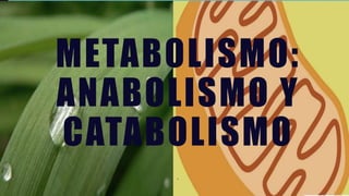 METABOLISMO:
ANABOLISMO Y
CATABOLISMO
.
 