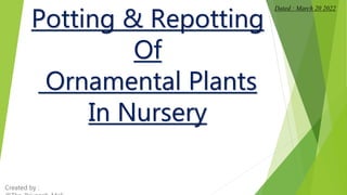 Potting & Repotting
Of
Ornamental Plants
In Nursery
Dated : March 20 2022
Created by :
 
