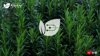 AI도입을 위한 기술과 플랫폼 | 동서울대학교 AI 특강